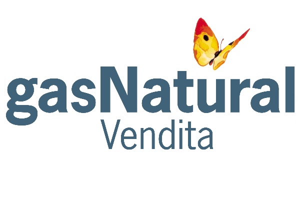 Offerte Logo Gas Natural Vendita