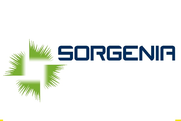 Offerte Logo Sorgenia gas