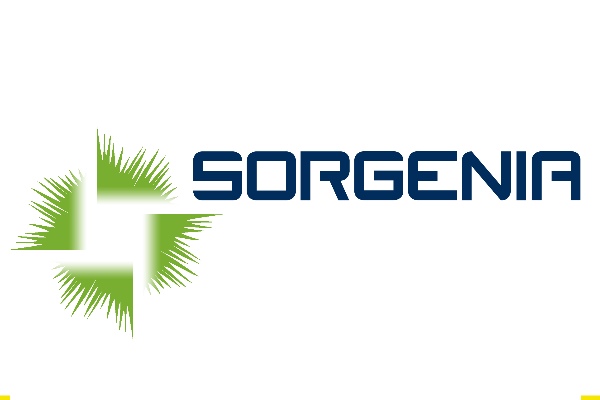 Sorgenia gas